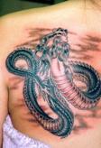 TATTOO倶楽部JAPAN