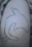 TATTOO倶楽部JAPAN
